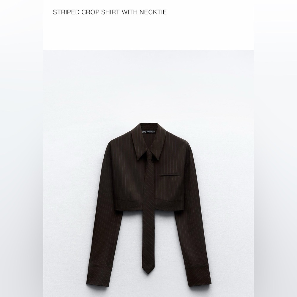 Zara Brown shirt with Blue Pinstripes